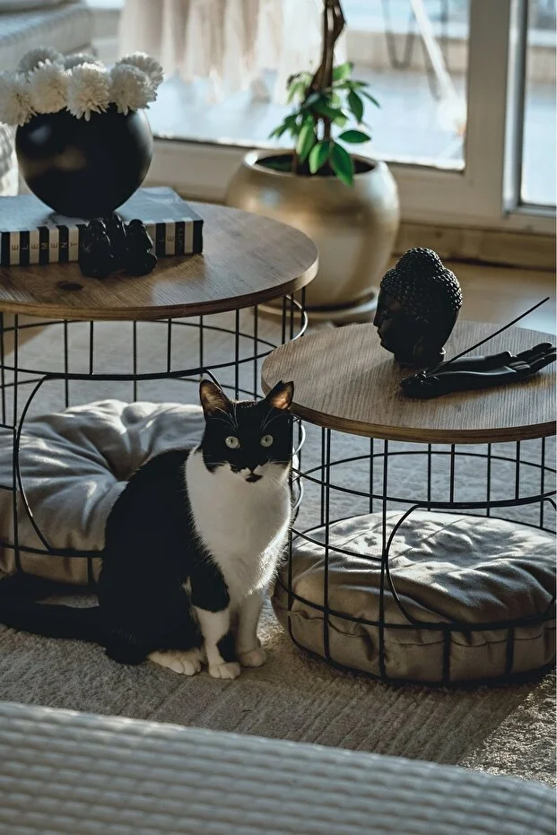 2 Li Kedi Yuvalı Sepet Sehpa Yastıklı Metal Zigon Çok Amaçlı Orta Sehpa
